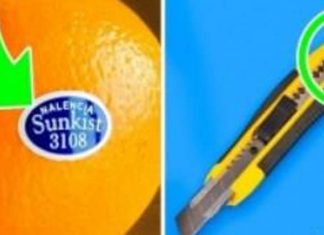 8 coisas comuns cujo verdadeiro propósito você não sabia