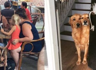 10 Fotos que você precisará olhar duas vezes para entender o que está acontecendo