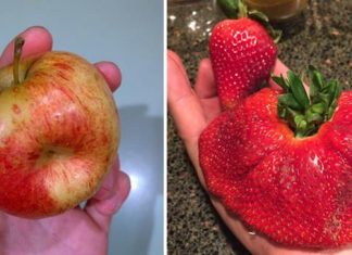 17 fotos de frutas que te darão um frio na espinha e um nó na garganta