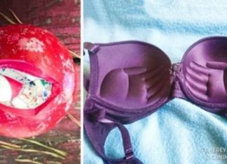 Estas pessoas abriram coisas comuns e fizeram descobertas intrigantes