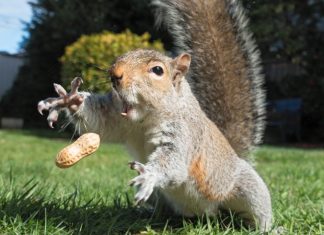 21 imagens tiradas no momento exato!