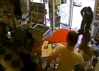 Vídeo! 8 animais de estimação que salvaram a vida dos seus donos