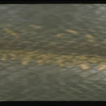 anigif_sub-buzz-10710-1483550429-3