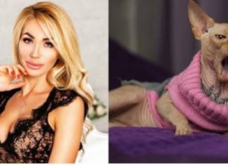 Mulher causa revolta na web após tatuar seu gato de estimação