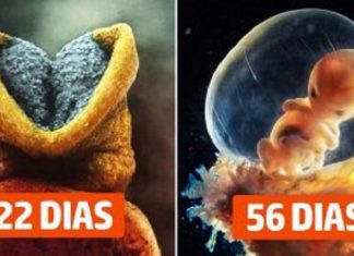 23 fotografias maravilhosas de como nasce uma criança