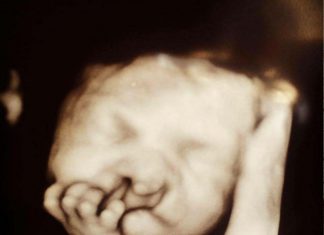 Pais se recusam a abortar – 3 meses depois, a mãe descobre algo comovente durante o jantar