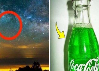 10 Fatos difíceis de acreditar, mas que são 100% verdade