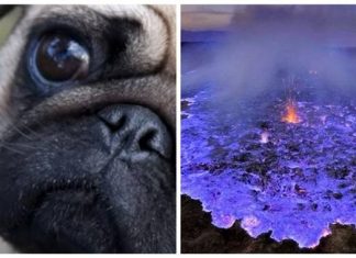 12 fatos curiosos que você precisa saber urgentemente