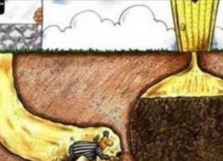 6 imagens que provam a existência de pessoas mais azaradas do que você