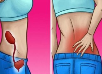 10 sinais de que seus rins não estão funcionando corretamente