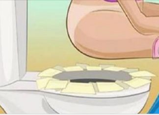 Você não irá botar mais papel na borda do vaso depois de ler isso