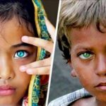 27164844_10213017194516803_784960823141491669_o